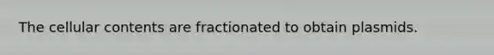 The cellular contents are fractionated to obtain plasmids.