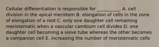 Cellular differentiation is responsible for __________. A. cell division in the apical meristem B. elongation of cells in the zone of elongation of a root C. only one daughter cell remaining meristematic when a vascular cambium cell divides D. one daughter cell becoming a sieve tube whereas the other becomes a companion cell E. increasing the number of meristematic cells