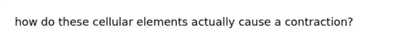 how do these cellular elements actually cause a contraction?