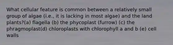 What cellular feature is common between a relatively small group of algae (i.e., it is lacking in most algae) and the land plants?(a) flagella (b) the phycoplast (furrow) (c) the phragmoplast(d) chloroplasts with chlorophyll a and b (e) cell walls