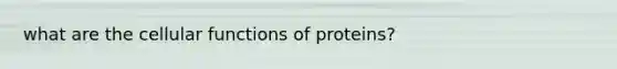 what are the cellular functions of proteins?