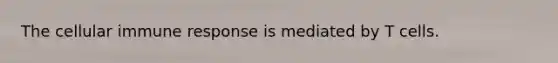 The cellular immune response is mediated by T cells.