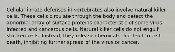 Cellular innate defenses in vertebrates also involve natural killer cells. These cells circulate through the body and detect the abnormal array of surface proteins characteristic of some virus-infected and cancerous cells. Natural killer cells do not engulf stricken cells. Instead, they release chemicals that lead to cell death, inhibiting further spread of the virus or cancer.