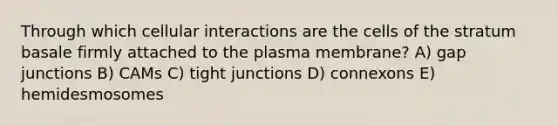 Through which cellular interactions are the cells of the stratum basale firmly attached to the plasma membrane? A) gap junctions B) CAMs C) tight junctions D) connexons E) hemidesmosomes