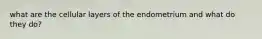 what are the cellular layers of the endometrium and what do they do?