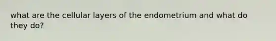 what are the cellular layers of the endometrium and what do they do?