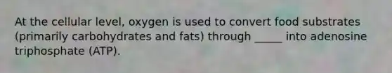 At the cellular level, oxygen is used to convert food substrates (primarily carbohydrates and fats) through _____ into adenosine triphosphate (ATP).