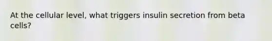 At the cellular level, what triggers insulin secretion from beta cells?