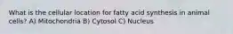 What is the cellular location for fatty acid synthesis in animal cells? A) Mitochondria B) Cytosol C) Nucleus