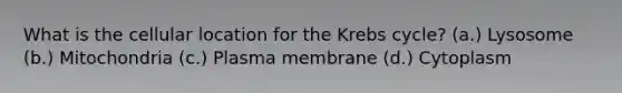 What is the cellular location for the Krebs cycle? (a.) Lysosome (b.) Mitochondria (c.) Plasma membrane (d.) Cytoplasm