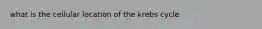 what is the cellular location of the krebs cycle