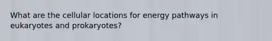 What are the cellular locations for energy pathways in eukaryotes and prokaryotes?