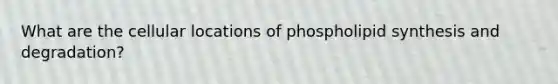 What are the cellular locations of phospholipid synthesis and degradation?