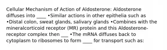 Cellular Mechanism of Action of Aldosterone: Aldosterone diffuses into ____ •Similar actions in other epithelia such as •Distal colon, sweat glands, salivary glands •Combines with the mineralcorticoid receptor (MR) protein and this Aldosterone-receptor complex then ___ •The mRNA diffuses back to cytoplasm to ribosomes to form ____ for transport such as: