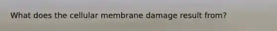 What does the cellular membrane damage result from?