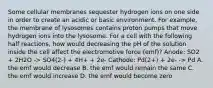 Some cellular membranes sequester hydrogen ions on one side in order to create an acidic or basic environment. For example, the membrane of lysosomes contains proton pumps that move hydrogen ions into the lysosome. For a cell with the following half reactions, how would decreasing the pH of the solution inside the cell affect the electromotive force (emf)? Anode: SO2 + 2H2O -> SO4(2-) + 4H+ + 2e- Cathode: Pd(2+) + 2e- -> Pd A. the emf would decrease B. the emf would remain the same C. the emf would increase D. the emf would become zero