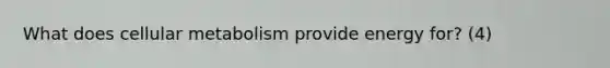 What does cellular metabolism provide energy for? (4)