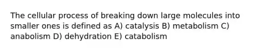 The cellular process of breaking down large molecules into smaller ones is defined as A) catalysis B) metabolism C) anabolism D) dehydration E) catabolism