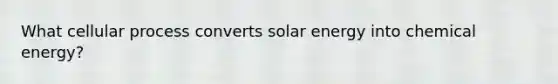 What cellular process converts solar energy into chemical energy?