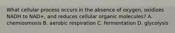 What cellular process occurs in the absence of oxygen, oxidizes NADH to NAD+, and reduces cellular organic molecules? A. chemiosmosis B. aerobic respiration C. fermentation D. glycolysis