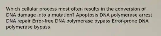 Which cellular process most often results in the conversion of DNA damage into a mutation? Apoptosis DNA polymerase arrest DNA repair Error-free DNA polymerase bypass Error-prone DNA polymerase bypass