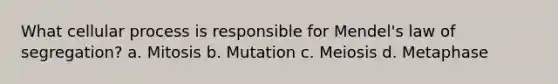 What cellular process is responsible for Mendel's law of segregation? a. Mitosis b. Mutation c. Meiosis d. Metaphase