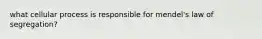 what cellular process is responsible for mendel's law of segregation?