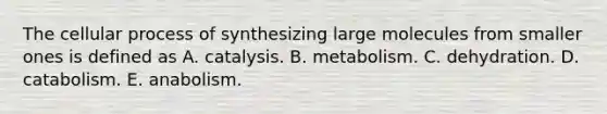 The cellular process of synthesizing large molecules from smaller ones is defined as A. catalysis. B. metabolism. C. dehydration. D. catabolism. E. anabolism.