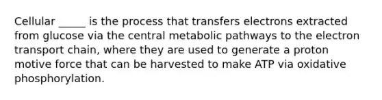 Cellular _____ is the process that transfers electrons extracted from glucose via the central metabolic pathways to the electron transport chain, where they are used to generate a proton motive force that can be harvested to make ATP via oxidative phosphorylation.