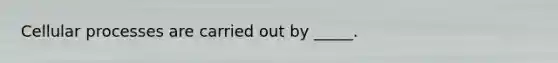 Cellular processes are carried out by _____.