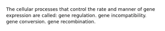 The cellular processes that control the rate and manner of gene expression are called: gene regulation. gene incompatibility. gene conversion. gene recombination.