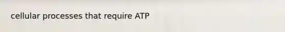 cellular processes that require ATP