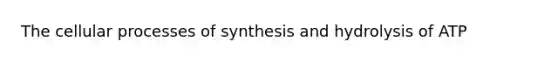 The cellular processes of synthesis and hydrolysis of ATP