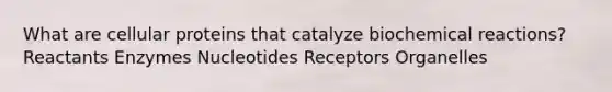 What are cellular proteins that catalyze <a href='https://www.questionai.com/knowledge/kVn7fMxiFS-biochemical-reactions' class='anchor-knowledge'>biochemical reactions</a>? Reactants Enzymes Nucleotides Receptors Organelles