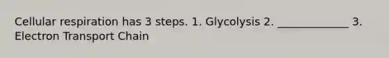 Cellular respiration has 3 steps. 1. Glycolysis 2. _____________ 3. Electron Transport Chain