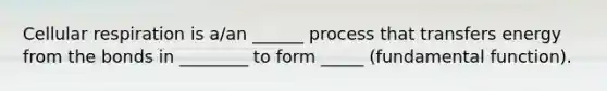 <a href='https://www.questionai.com/knowledge/k1IqNYBAJw-cellular-respiration' class='anchor-knowledge'>cellular respiration</a> is a/an ______ process that transfers energy from the bonds in ________ to form _____ (fundamental function).