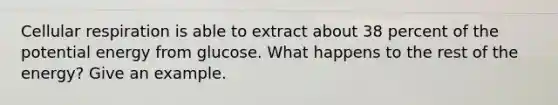 Cellular respiration is able to extract about 38 percent of the potential energy from glucose. What happens to the rest of the energy? Give an example.