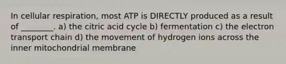 In cellular respiration, most ATP is DIRECTLY produced as a result of ________. a) the citric acid cycle b) fermentation c) the electron transport chain d) the movement of hydrogen ions across the inner mitochondrial membrane