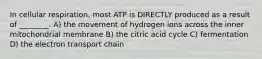 In cellular respiration, most ATP is DIRECTLY produced as a result of ________. A) the movement of hydrogen ions across the inner mitochondrial membrane B) the citric acid cycle C) fermentation D) the electron transport chain