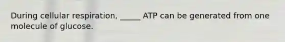 During cellular respiration, _____ ATP can be generated from one molecule of glucose.