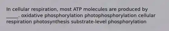 In cellular respiration, most ATP molecules are produced by _____. oxidative phosphorylation photophosphorylation cellular respiration photosynthesis substrate-level phosphorylation