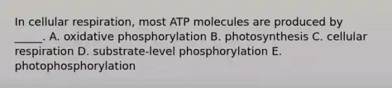 In cellular respiration, most ATP molecules are produced by _____. A. oxidative phosphorylation B. photosynthesis C. cellular respiration D. substrate-level phosphorylation E. photophosphorylation