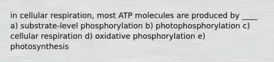 in cellular respiration, most ATP molecules are produced by ____ a) substrate-level phosphorylation b) photophosphorylation c) cellular respiration d) oxidative phosphorylation e) photosynthesis