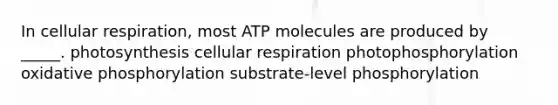 In cellular respiration, most ATP molecules are produced by _____. photosynthesis cellular respiration photophosphorylation oxidative phosphorylation substrate-level phosphorylation