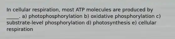 In cellular respiration, most ATP molecules are produced by _____. a) photophosphorylation b) oxidative phosphorylation c) substrate-level phosphorylation d) photosynthesis e) cellular respiration