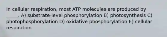 In cellular respiration, most ATP molecules are produced by _____. A) substrate-level phosphorylation B) photosynthesis C) photophosphorylation D) oxidative phosphorylation E) cellular respiration