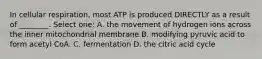 In cellular respiration, most ATP is produced DIRECTLY as a result of ________. Select one: A. the movement of hydrogen ions across the inner mitochondrial membrane B. modifying pyruvic acid to form acetyl CoA. C. fermentation D. the citric acid cycle