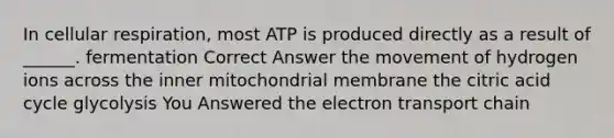 In cellular respiration, most ATP is produced directly as a result of ______. fermentation Correct Answer the movement of hydrogen ions across the inner mitochondrial membrane the citric acid cycle glycolysis You Answered <a href='https://www.questionai.com/knowledge/k57oGBr0HP-the-electron-transport-chain' class='anchor-knowledge'>the electron transport chain</a>