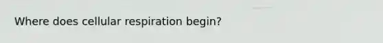 Where does cellular respiration begin?