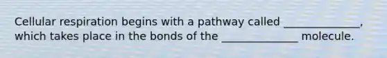 Cellular respiration begins with a pathway called ______________, which takes place in the bonds of the ______________ molecule.